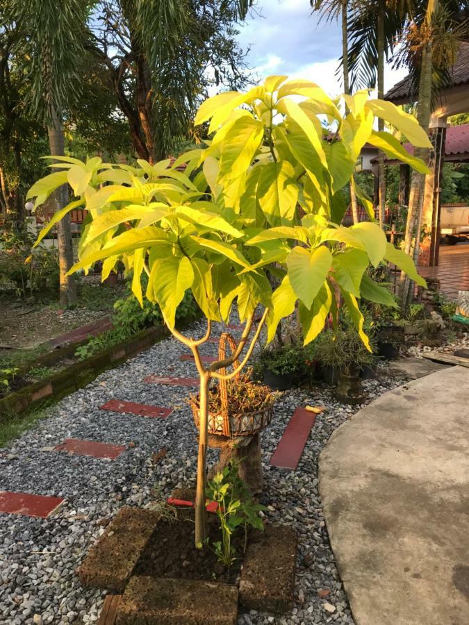 Grandma'S House Appartement Nakhon Nayok Buitenkant foto